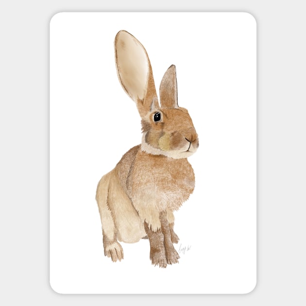 Hedley the Hare Sticker by lauramcart